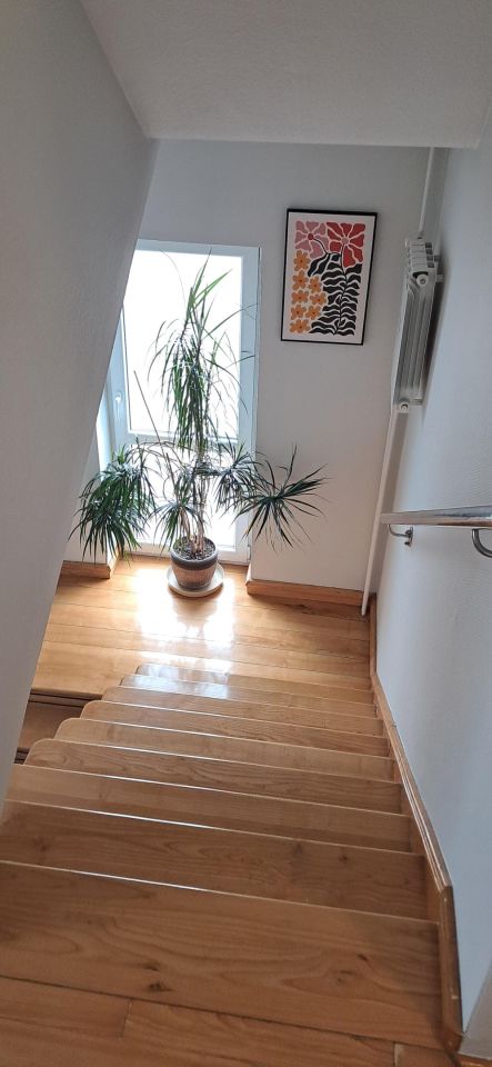 dom wolnostojący, 6 pokoi Biłgoraj, ul. Zamojska. Zdjęcie 47