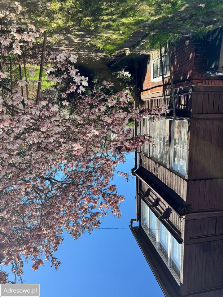 dom wolnostojący, 7 pokoi Bardo, ul. Główna. Zdjęcie 9