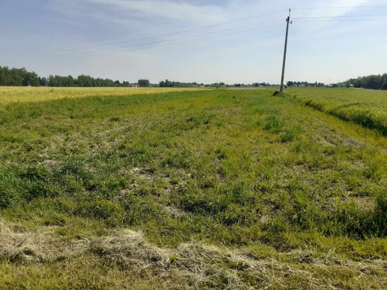 Działka budowlana Lubaczów, ul. Żuki. Zdjęcie 7