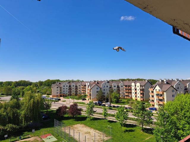 Mieszkanie 2-pokojowe Wrocław Kozanów, ul. Dokerska. Zdjęcie 2