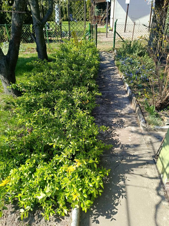 Działka rod Jaryszki. Zdjęcie 2