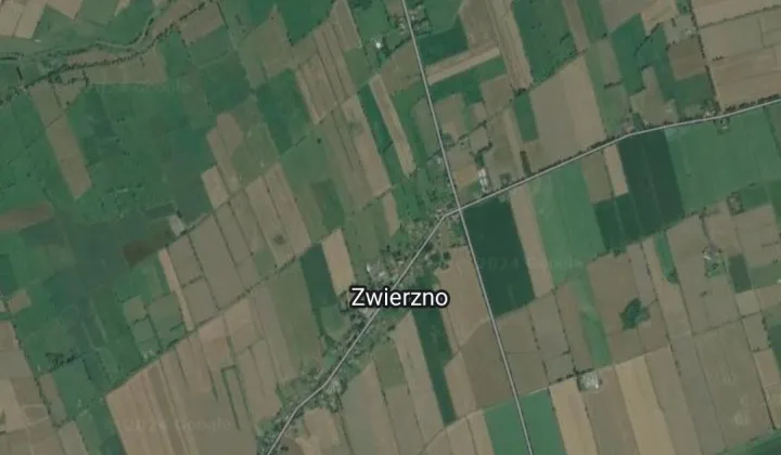 Działka rolna Zwierzno