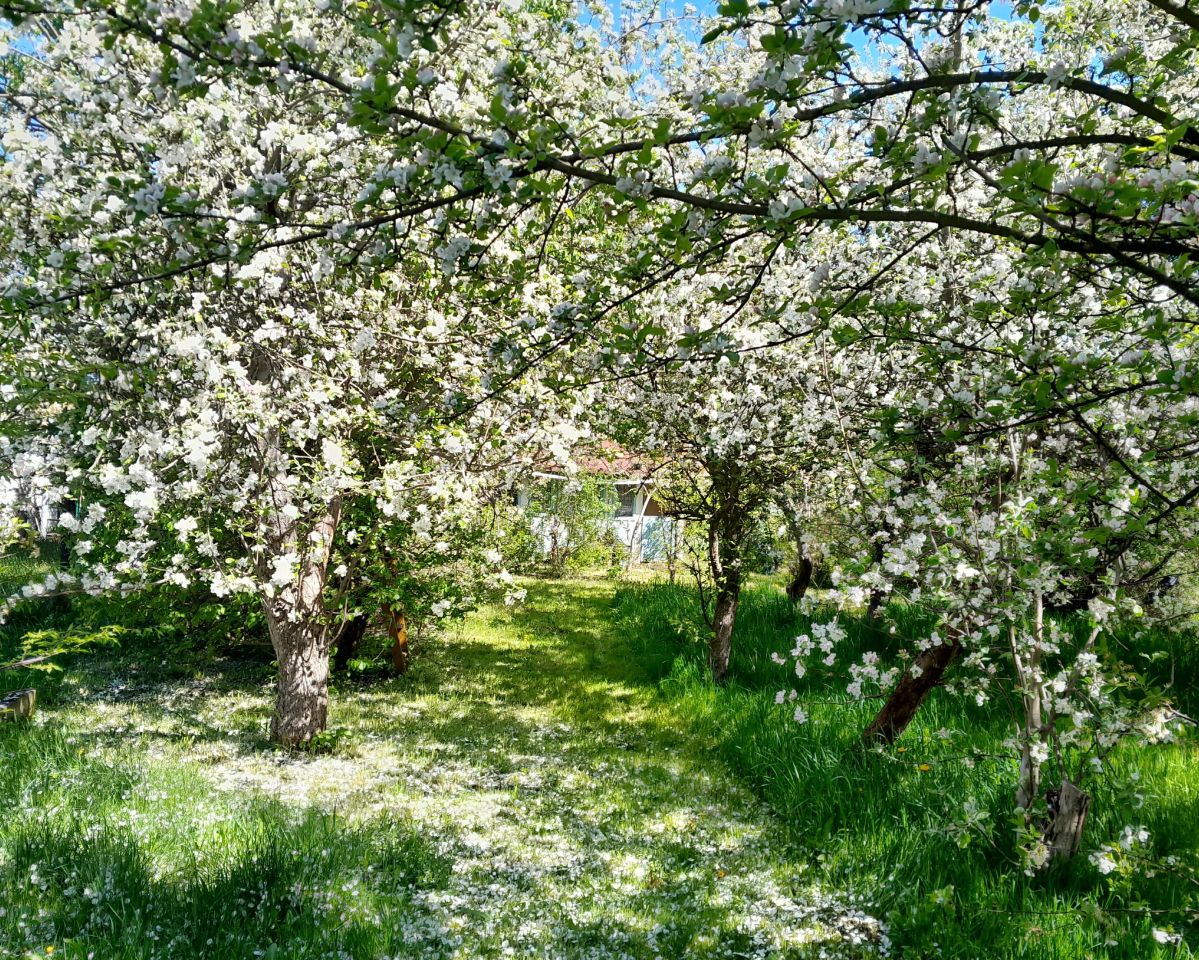 Działka rod Wałbrzych Podzamcze, ROD. Zdjęcie 3