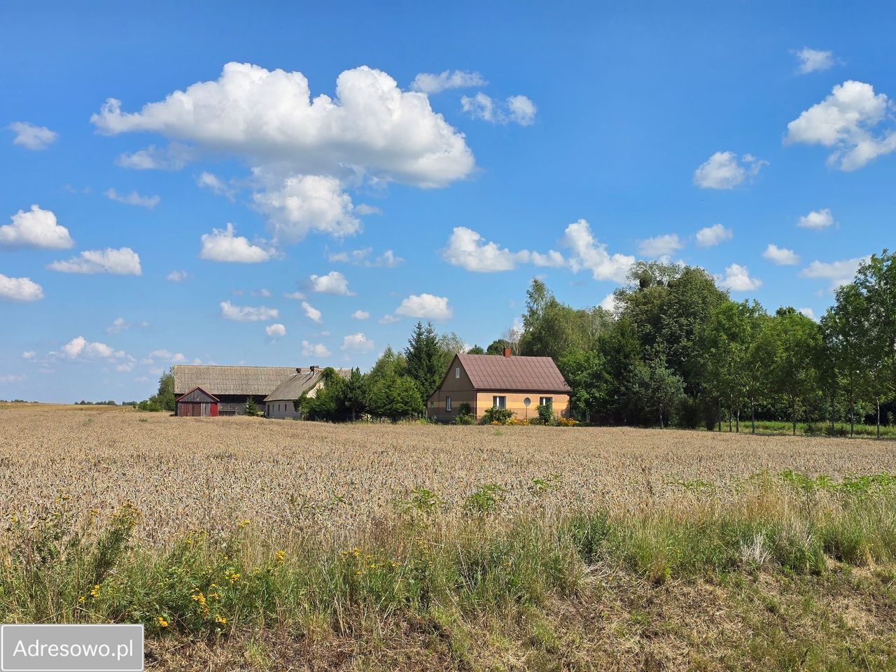 siedlisko, 3 pokoje Kuraszewo. Zdjęcie 2