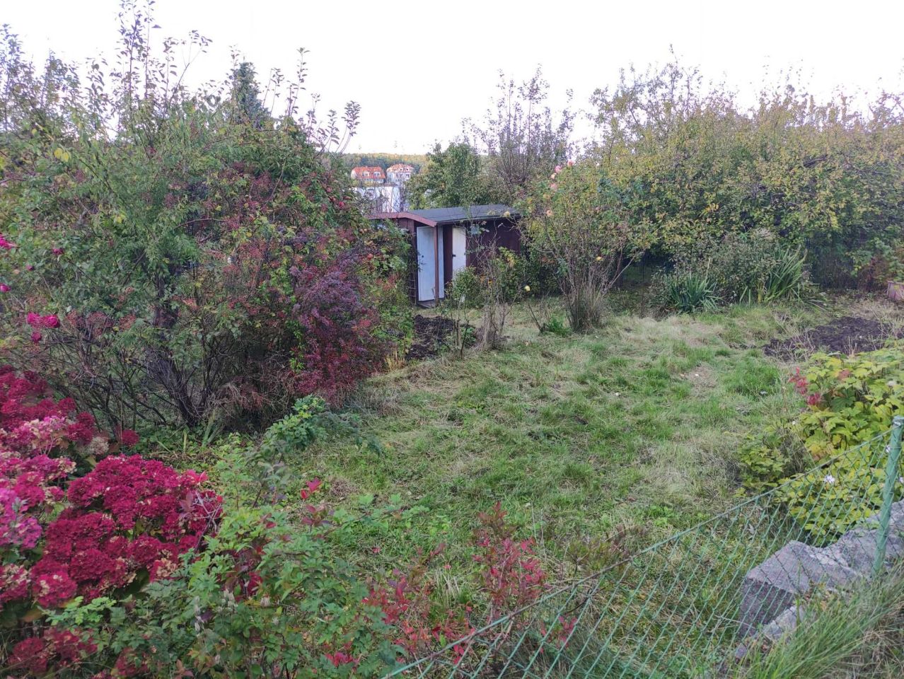 Działka rod Gdynia Mały Kack, ul. Spokojna. Zdjęcie 6