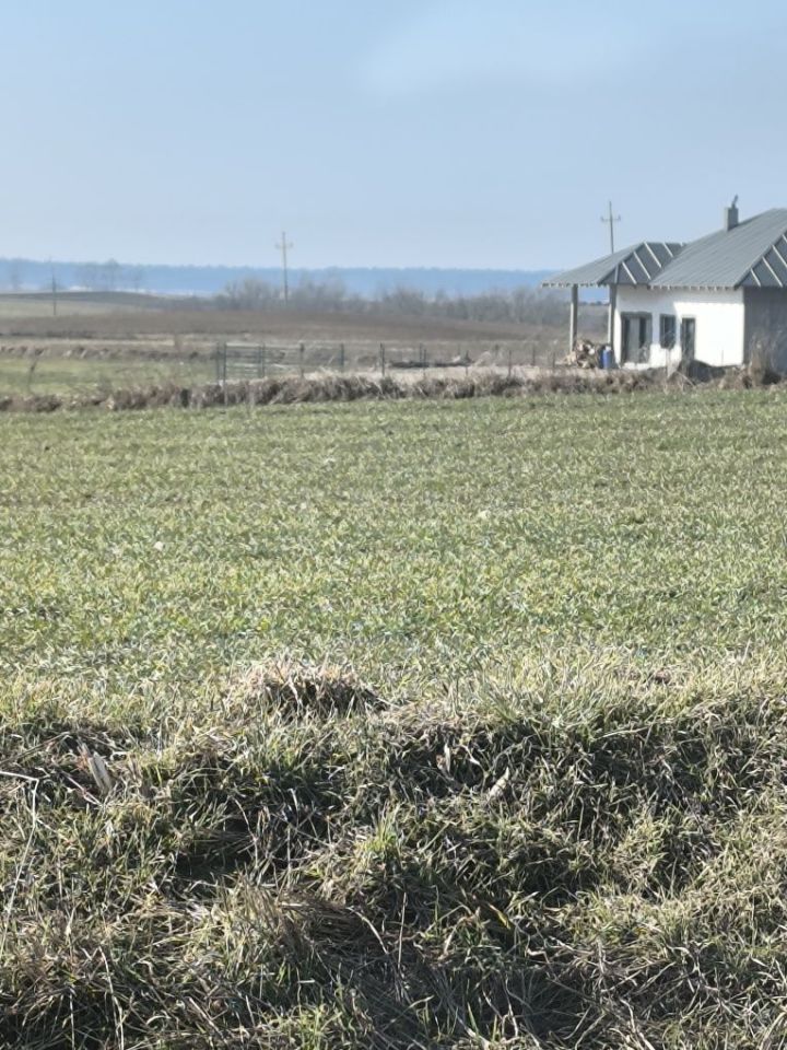 Działka rekreacyjna Powidz. Zdjęcie 4