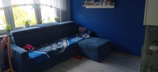 Mieszkanie 4-pokojowe Poznań Winogrady, os. Zwycięstwa. Zdjęcie 3