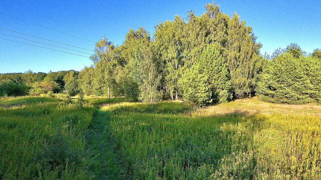 Działka rolno-budowlana Mrozów, ul. Spokojna. Zdjęcie 1