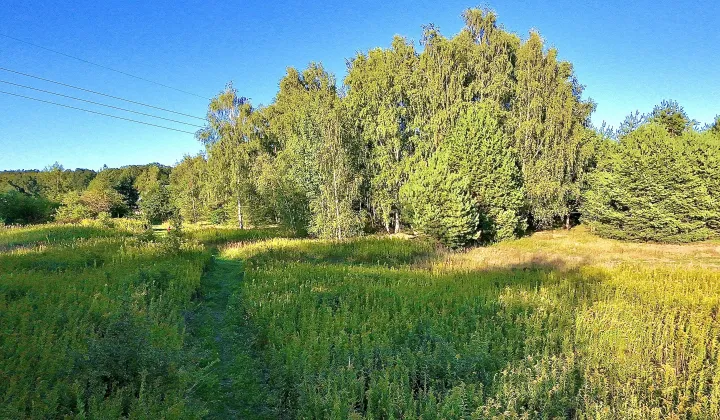 Działka rolno-budowlana Mrozów, ul. Spokojna