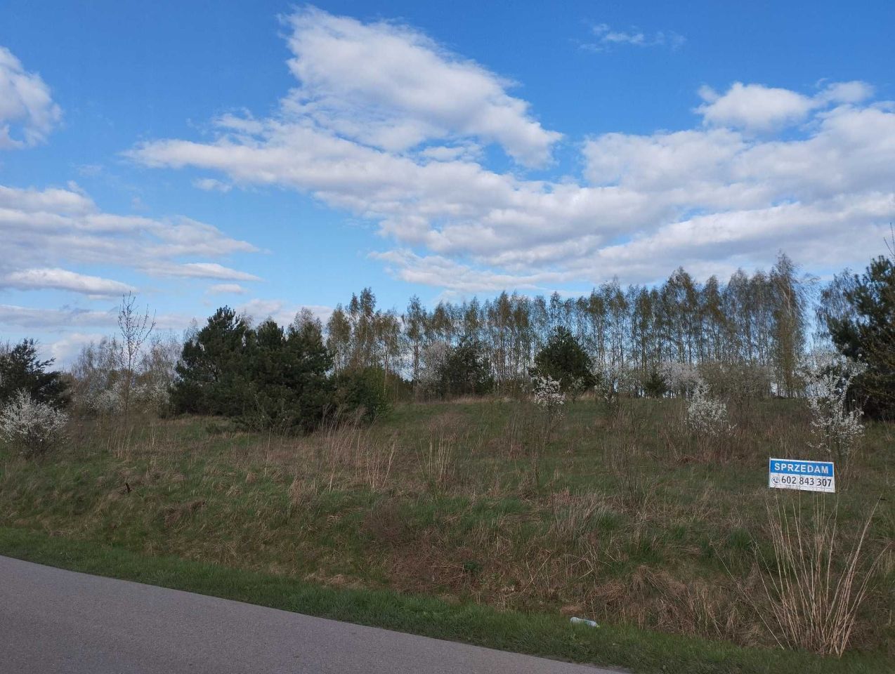 Działka budowlana Nowe Opole, ul. Spacerowa. Zdjęcie 2