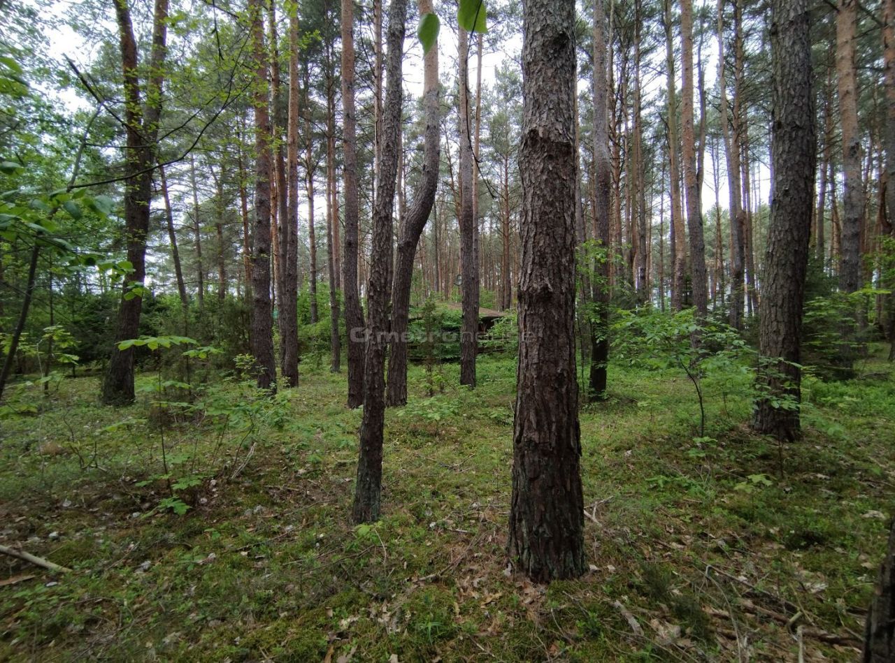 dom letniskowy, 3 pokoje Dzbądz. Zdjęcie 5