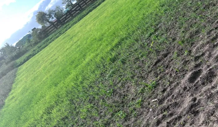 Działka rod Piecki, ul. Polna