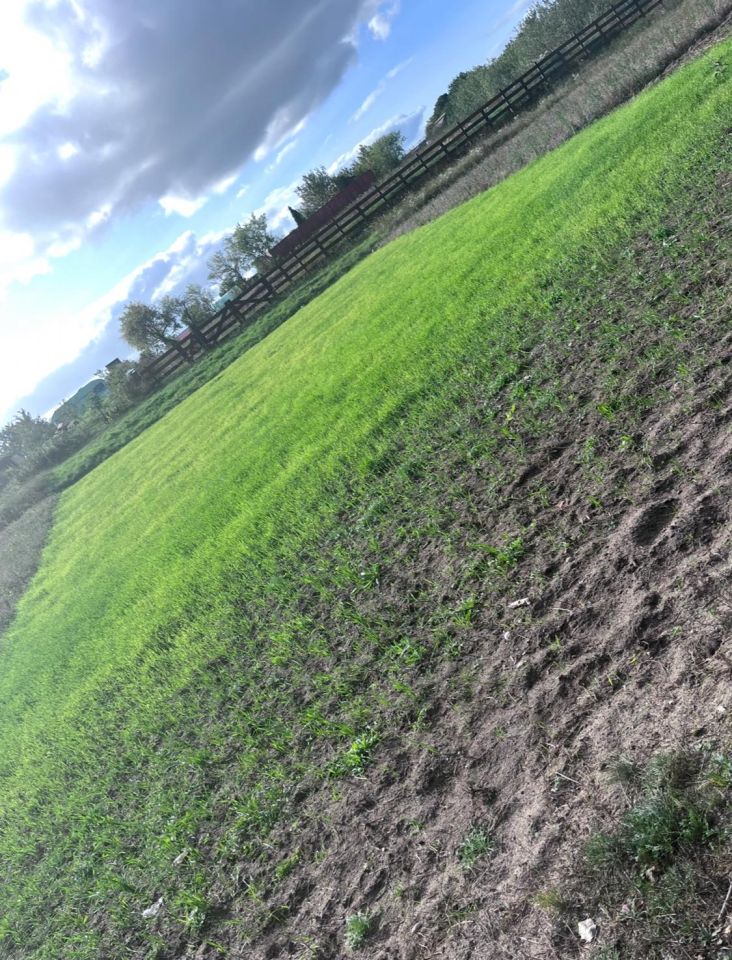 Działka rod Piecki, ul. Polna