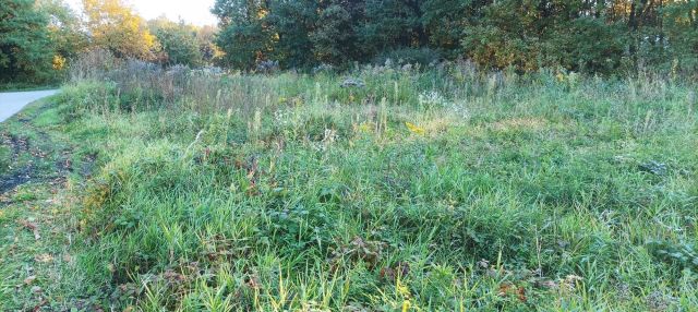 Działka budowlana Dąbrowa Szlachecka. Zdjęcie 1