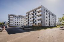 Mieszkanie 3-pokojowe Golub-Dobrzyń