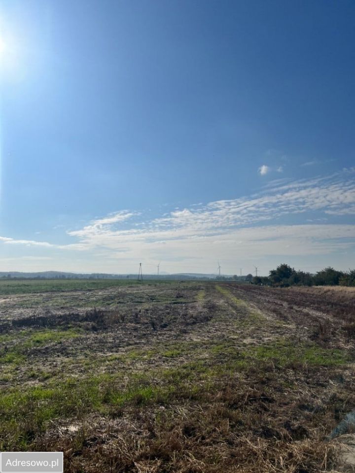 Działka budowlana Udanin. Zdjęcie 6