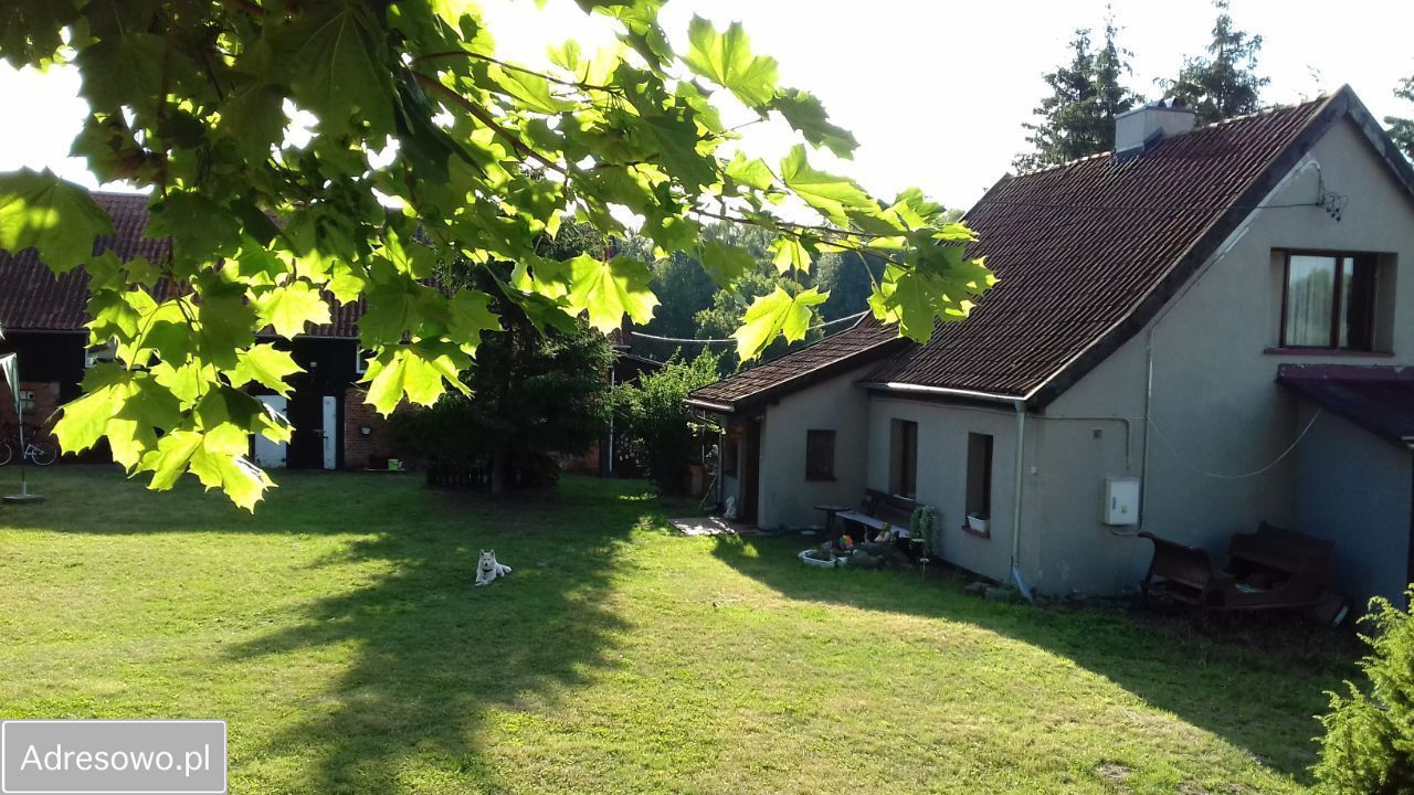 siedlisko, 5 pokoi Pajtuny. Zdjęcie 10