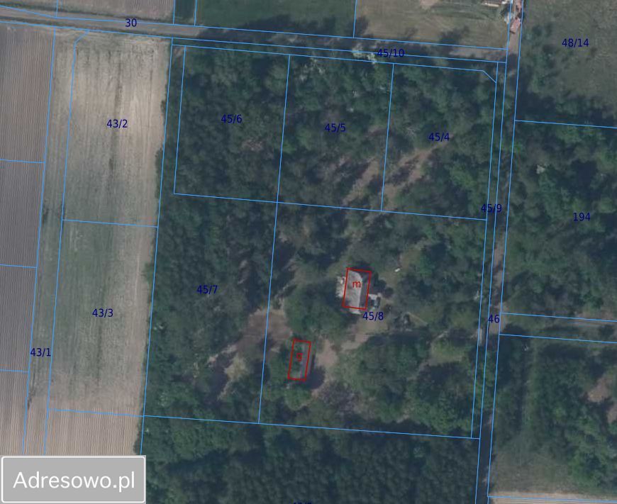 Działka budowlana Cholewy. Zdjęcie 11