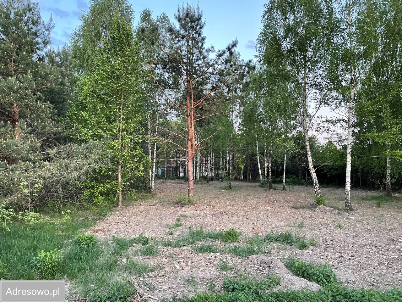 Działka budowlana Tuszyn, ul. Poddębina