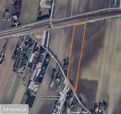 Działka rolna Domaniewek Pierwszy, ul. Południowa. Zdjęcie 3