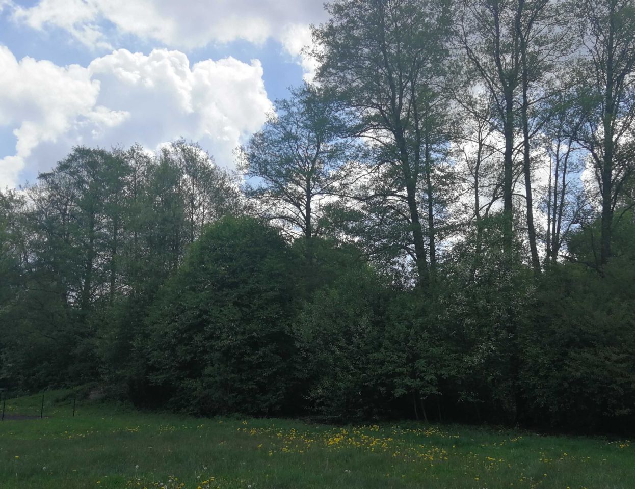 Działka rolno-budowlana Otwock. Zdjęcie 7