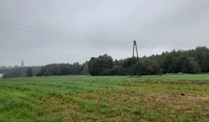 Działka inna Ruda Śląska Kochłowice, ul. Władysława Jagiełły