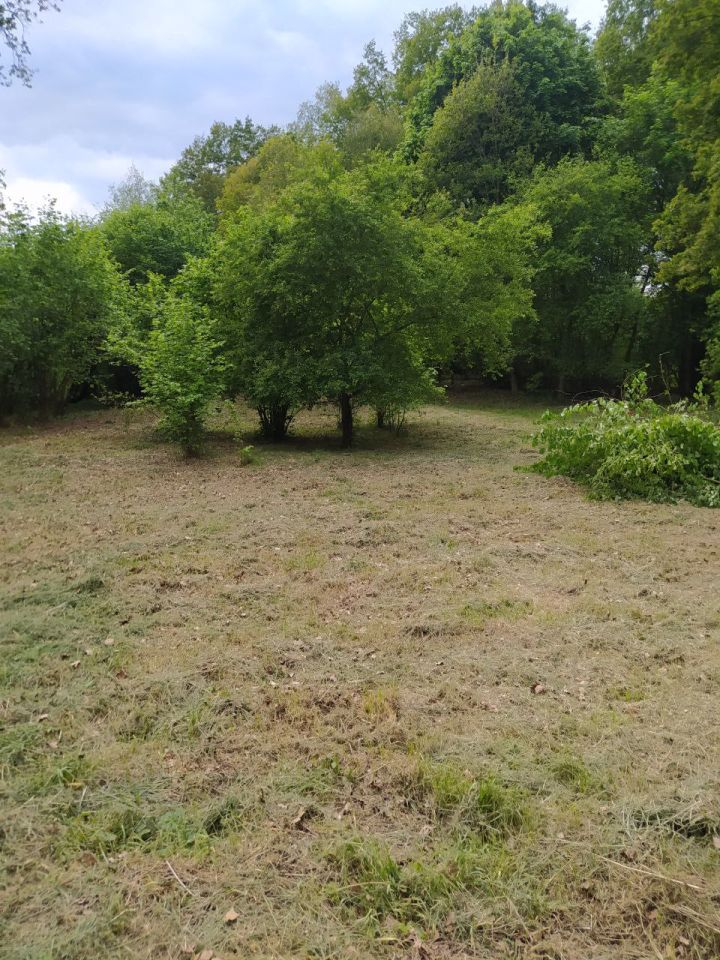 Działka budowlana Gronów. Zdjęcie 9