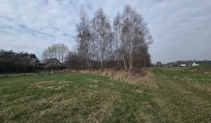 Działka budowlana Nowa Wieś, ul. Stefana Batorego