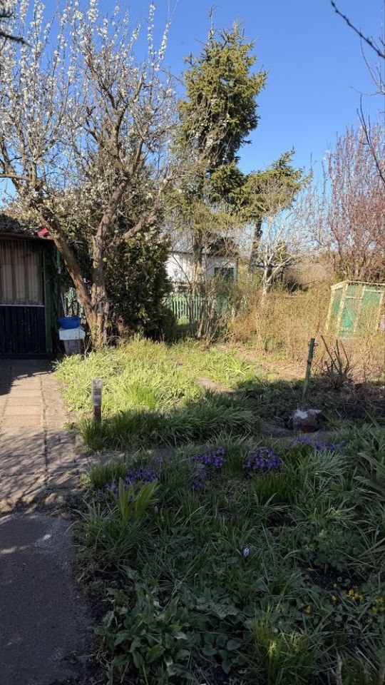 Działka rod Szczecinek, ul. Kołobrzeska. Zdjęcie 4