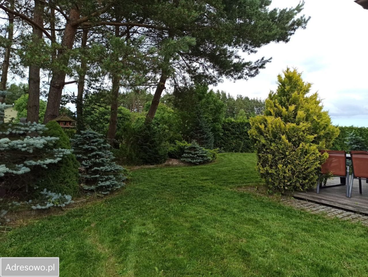 dom wolnostojący, 5 pokoi Bojano. Zdjęcie 7