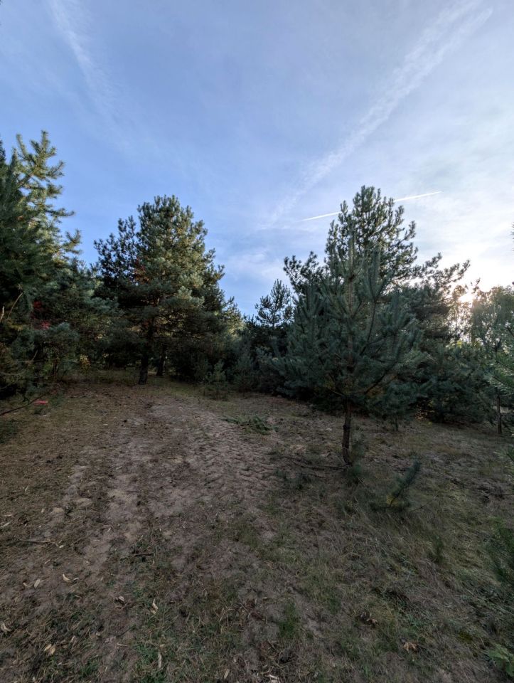 dom wolnostojący, 5 pokoi Srocko, ul. Częstochowska. Zdjęcie 8