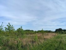 Działka rolna Wola Krobowska. Zdjęcie 3