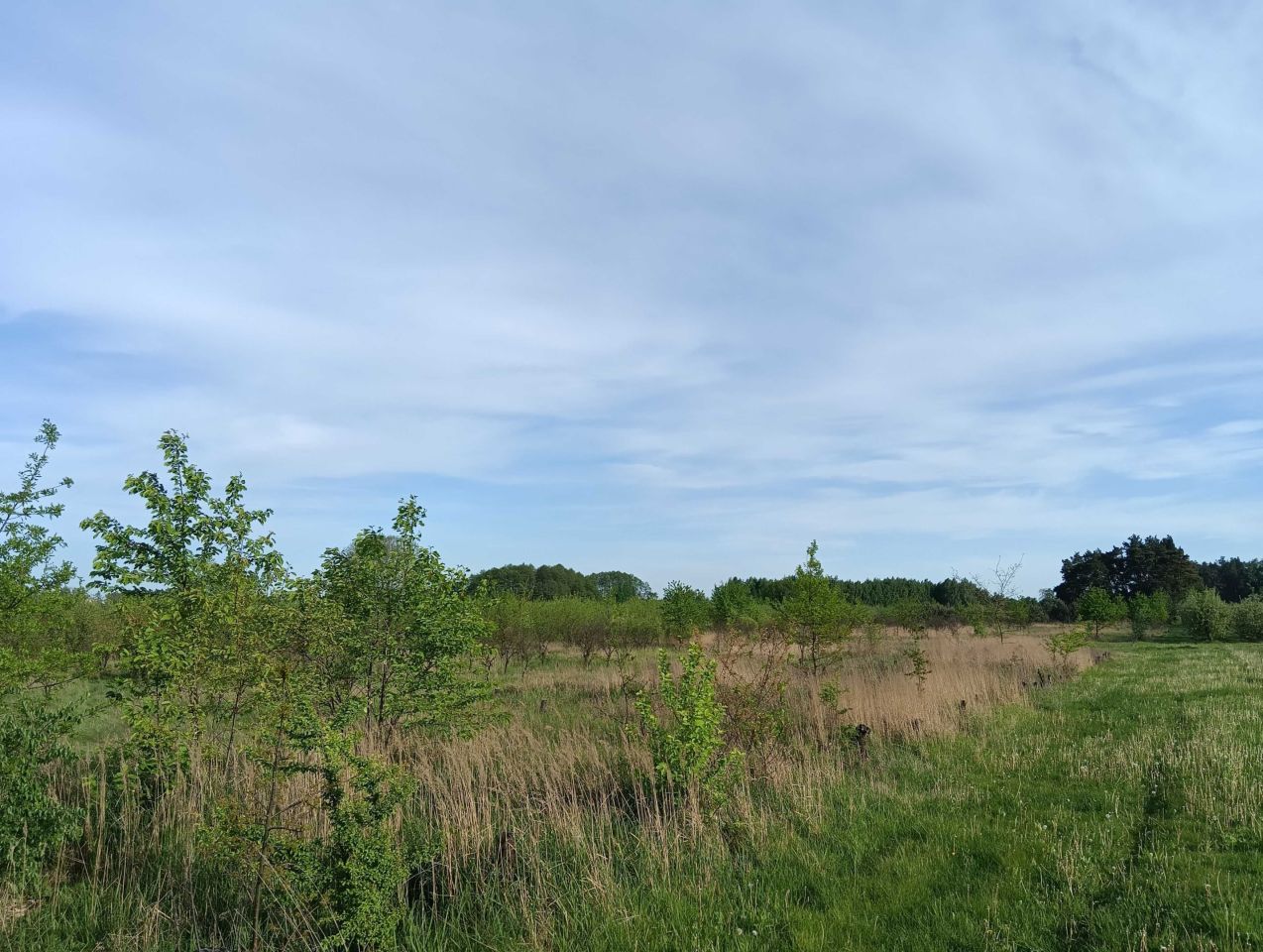 Działka rolna Wola Krobowska. Zdjęcie 4