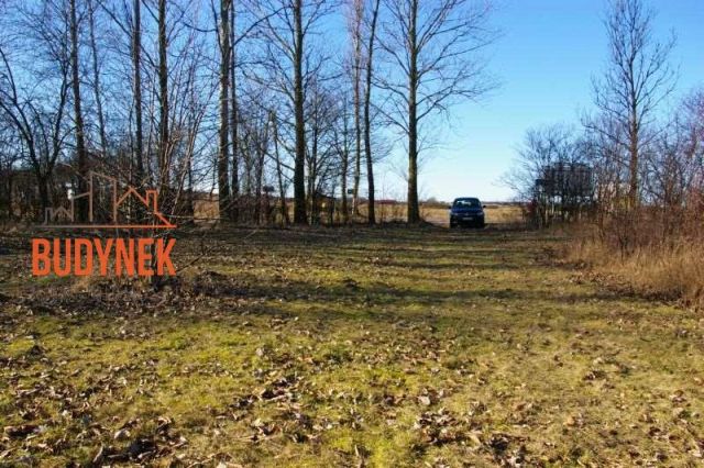 Działka inwestycyjna Cisowo. Zdjęcie 13