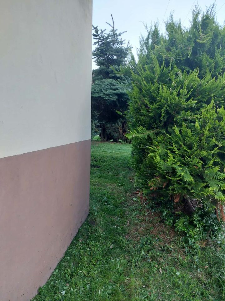 Mieszkanie 1-pokojowe Rogów-Wieś, ul. Akacjowa. Zdjęcie 9
