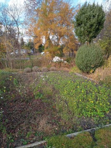 Działka rekreacyjna Piotrków Trybunalski, ul. Brzeźnicka. Zdjęcie 1