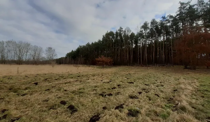 Działka inwestycyjna Wołczkowo, ul. Leśna