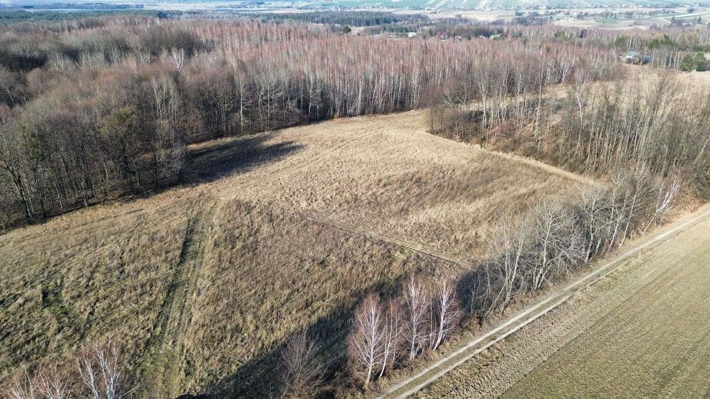 Działka budowlana Lipsko-Polesie. Zdjęcie 6