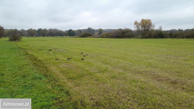 Działka rolna Nowy Secymin. Zdjęcie 1