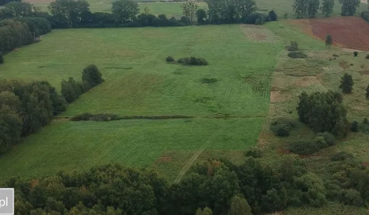 Działka rolna Stawno