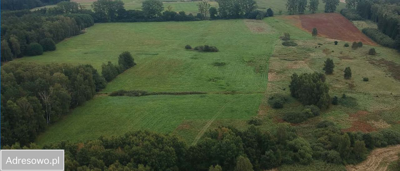 Działka rolna Stawno