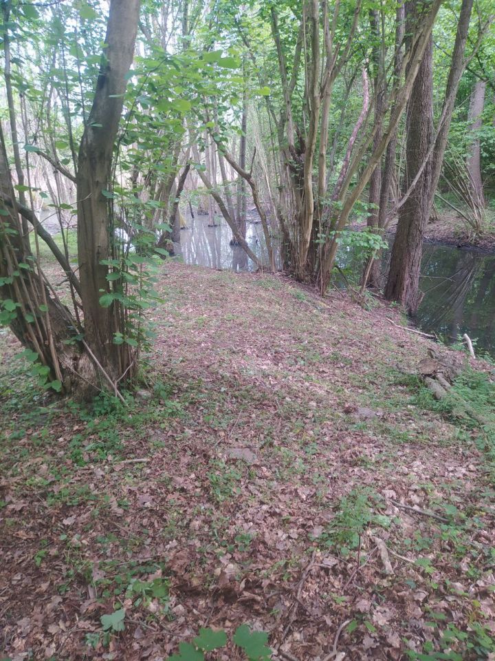 Działka budowlana Gronów. Zdjęcie 26