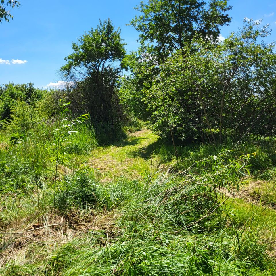 Działka inwestycyjna Kielce Dyminy-Wieś, ul. Sukowska. Zdjęcie 8