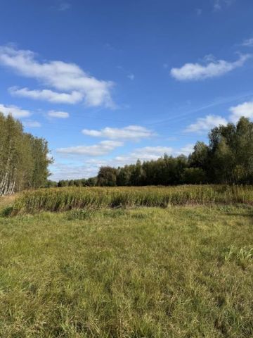 Działka inwestycyjna Stary Janków. Zdjęcie 4