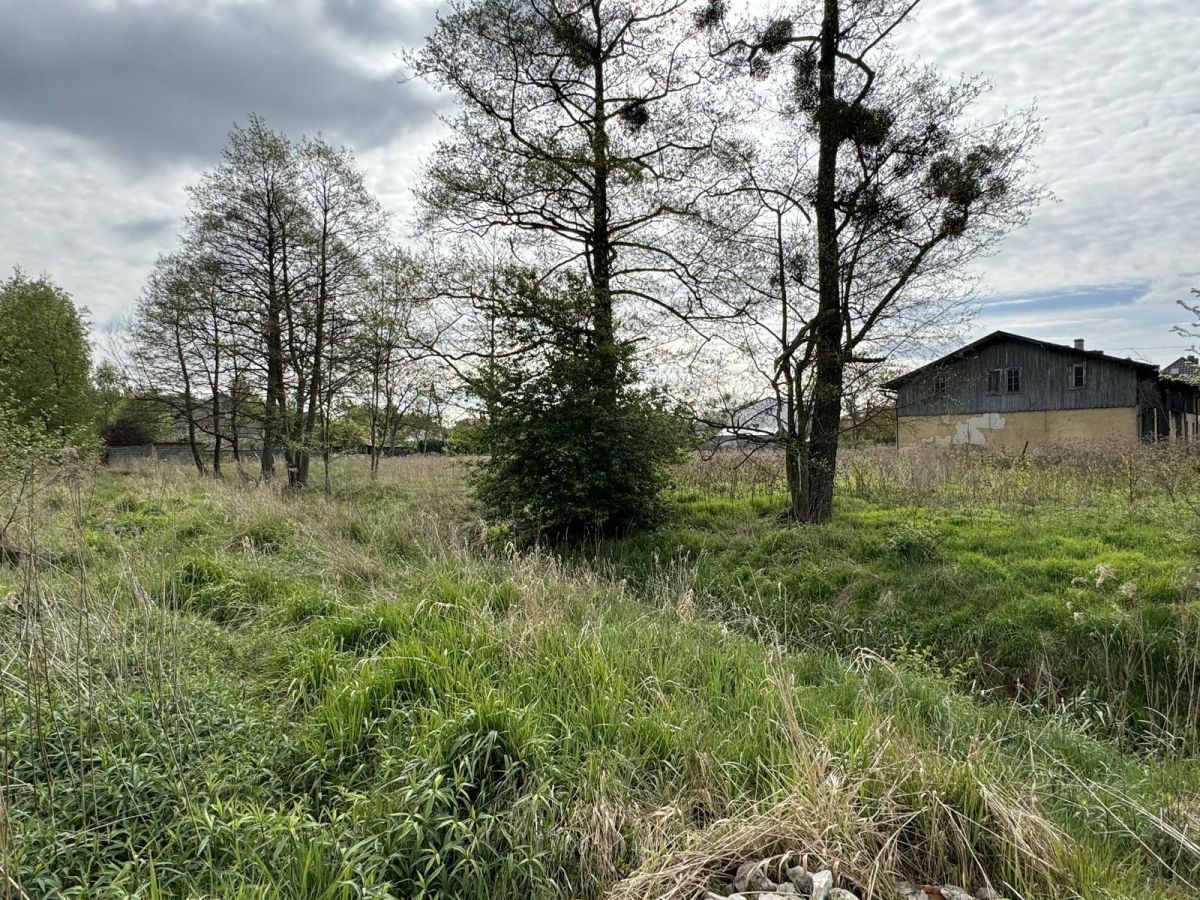 Działka budowlana Długołęka, ul. Adama Mickiewicza. Zdjęcie 13