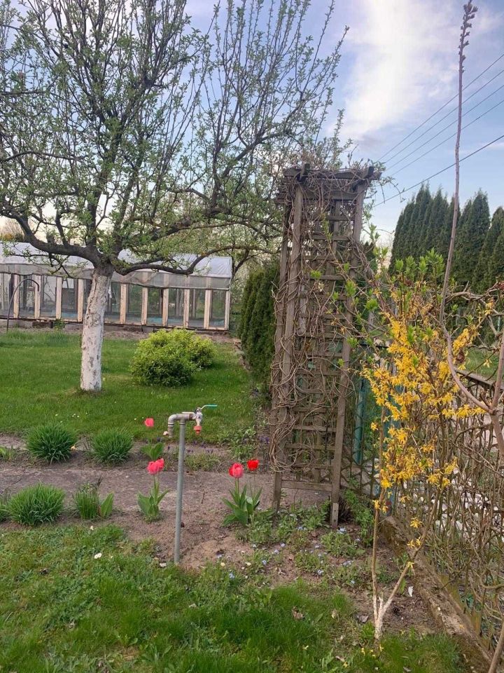 Działka rod Siedlce. Zdjęcie 3