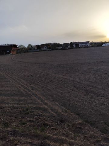 Działka siedliskowa Kopaszewo. Zdjęcie 1