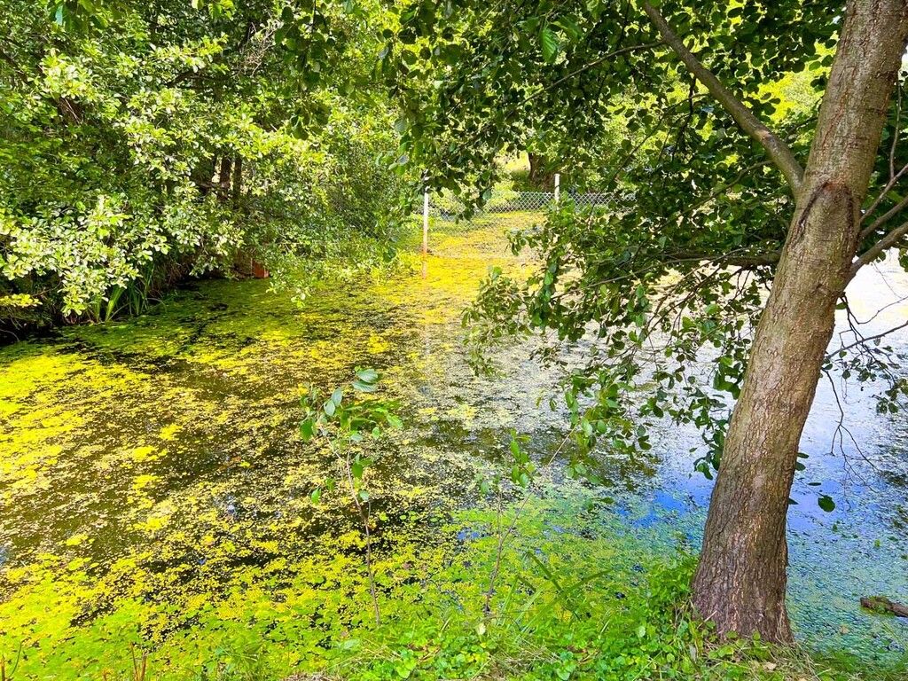 Działka budowlana Boguszków. Zdjęcie 24