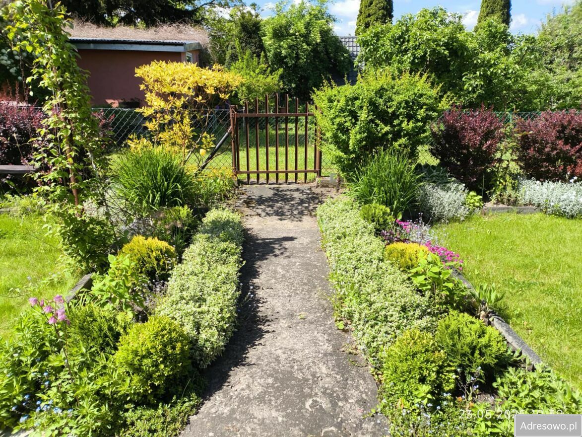 Działka rod Konin, ul. Staromorzysławska. Zdjęcie 5