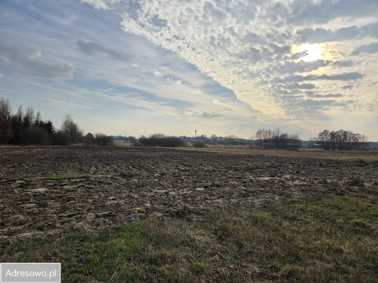 Działka rekreacyjna Komorów. Zdjęcie 4